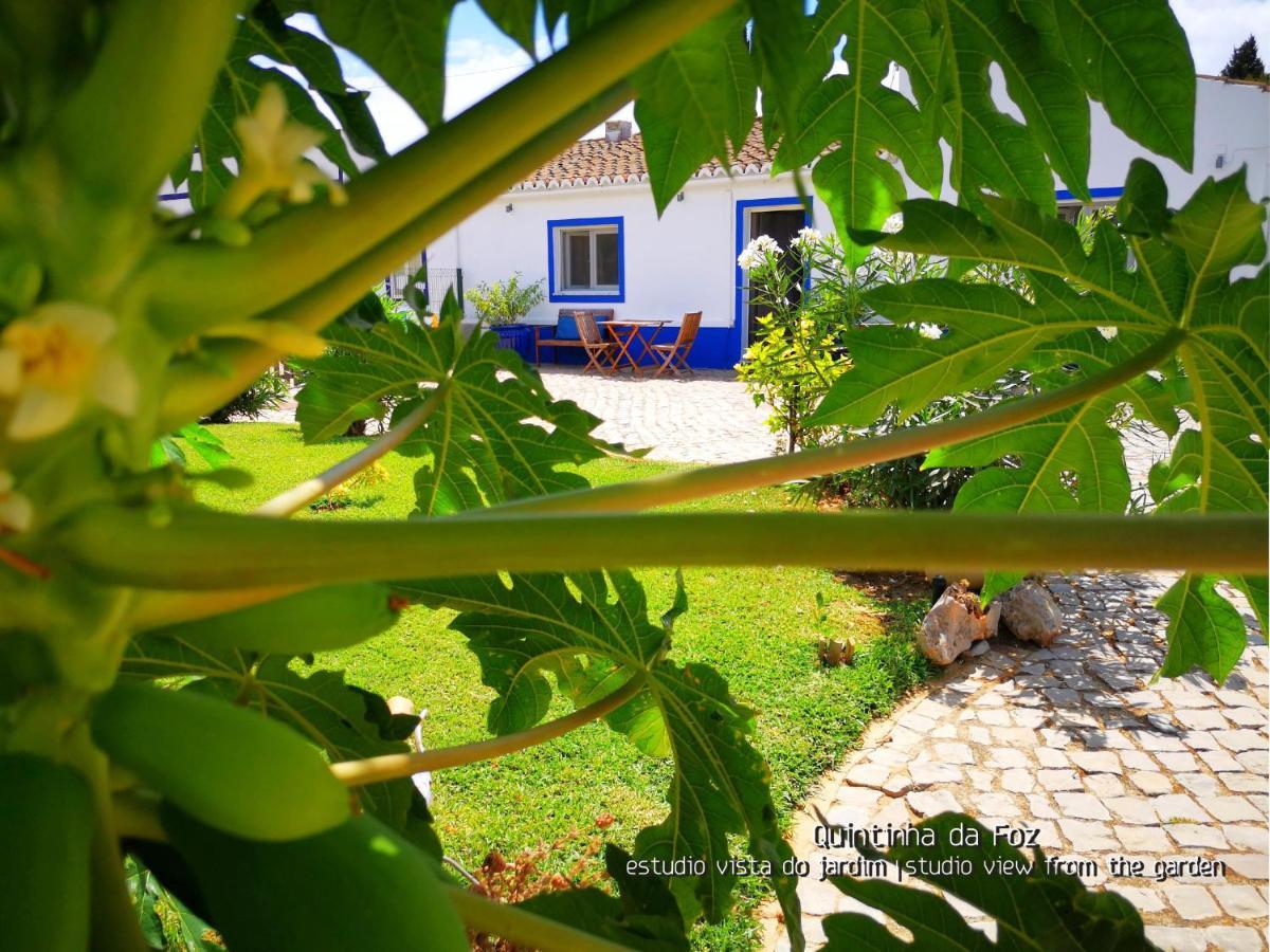Quintinha Da Foz Guest House Sao Pedro  Екстериор снимка